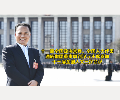 lehu88乐虎国际董事局刘汉元主席参加十三届全国人大三次会议